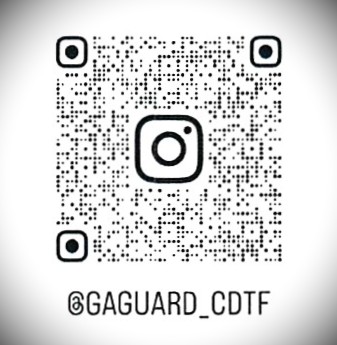 See us on Instagram!